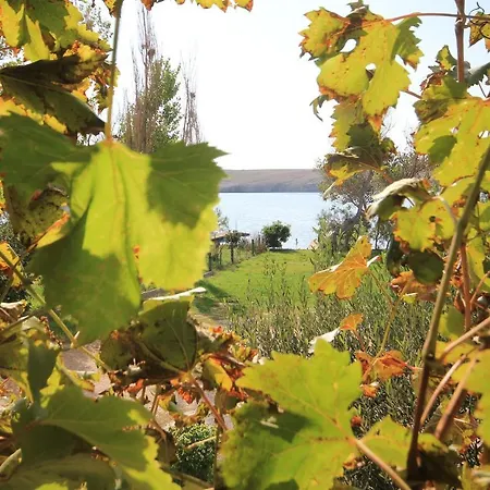 Dinjiska 9386a 아파트 *