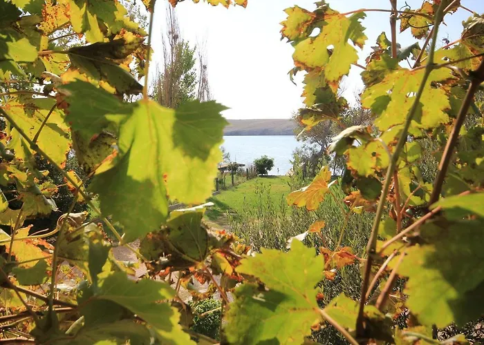 Dinjiska 9386a アパート *